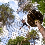 Go Ape, Wendover Woods, England