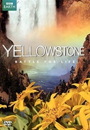Yellowstone: Battle for Life (2009)