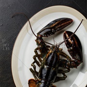 Black Lobster