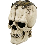 Frankenstein's Skull