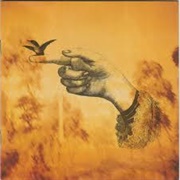 Rusted Root Welcome to My Party