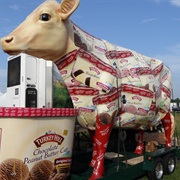 Turkey Hill Cow