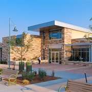 Colorado Mesa University