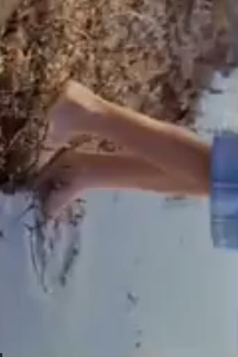 Six and a Half (2008)