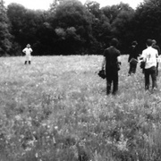 Start a War - The National