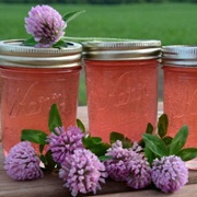 Red Clover Jelly