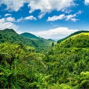 Coromandel, New Zealand