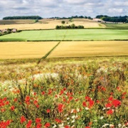Breachwood Green, Hertfordshire, England