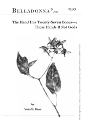 The Hand Has Twenty-Seven Bones–: These Hands If Not Gods (Natalie Diaz)