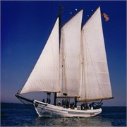 A.J. Meerwald Tallship