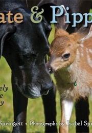 Kate & Pippin (Martin Springett)