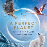 Perfect Planet
