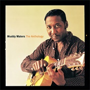 The Anthology - Muddy Waters (2001)