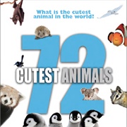 72 Cutest Animals