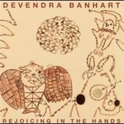 Devendra Banhart - Rejoicing in the Hands of the Golden Empress