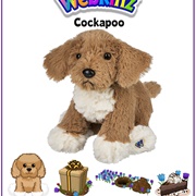 Cockapoo