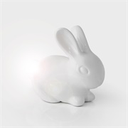 Rabbit Light