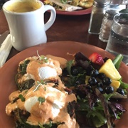 Juicy Kitchen, Ann Arbor