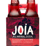 Joia Blackberry Pomegranate & Ginger