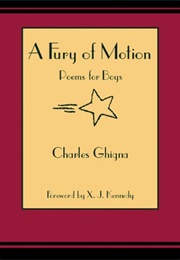 A Fury of Motion: Poems for Boys (Charles Ghigna)