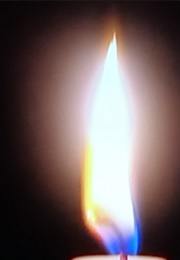 Attack of the Killer Pigeons (Sergey A) (2021)