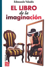 El Libro De La Imaginación (Edmundo Valadés)