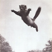 I Never Want to See You Again - Quasi