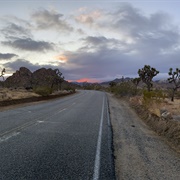 Joshua Tree National Park