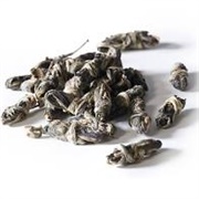 David's Tea Butterfly Jasmine