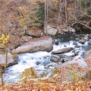 Laurell Snow State Natural Area