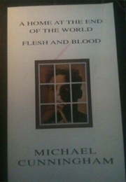 A Home at the End of the World / Flesh and Blood (Michael Cunningham)