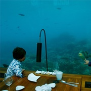 Eat in an Underwater Restaurant in the Maldives Called Ithaa