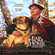 Far From Home: The Adventures of Yellow Dog