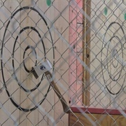 Axe Ventura, Ann Arbor