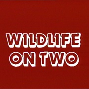 Wildlife on Two