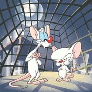 The Pinky and the Brain