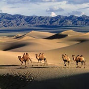 Gobi Desert, China/Mongolia