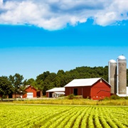 Farms