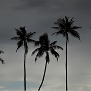 The Honolulu Strangler