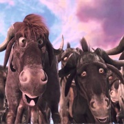 Really Nice Day - The Wild