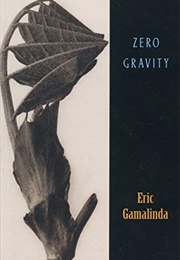 Zero Gravity (Eric Gamalinda)