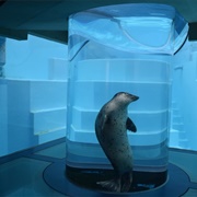 Marine World Uminonakamichi, Fukuoka