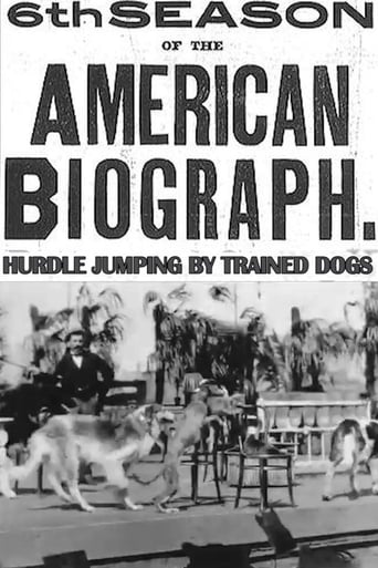 Hurdle Jumping; by Trained Dogs (1899)