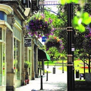 Harrogate, North Yorkshire, England