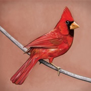 Alexonfire - Old Crows/Young Cardinals