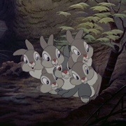 Thumper's Sisters