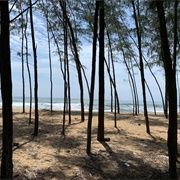 Kuzhupilly Beach