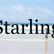 Starling