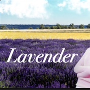 Lavender