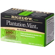 Bigelow Plantation Mint Tea